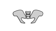 Lackschutz Folien f�rs Motorrad
