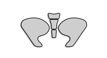 BMW K1200S Lackschutz Folien