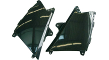 Carbon Seitenteil Tank f�rs Motorrad