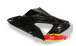 BMW S1000RR Verkleidungsseitenteile - Strasse