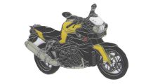  BMW K1200R & K1200R Sport Pin K1200R