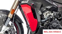  BMW S 1000 XR (2020- ) Carbon Kühlerverkleidung (komplett)