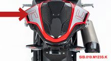  BMW S1000RR (2019- ) Heckverkleidung