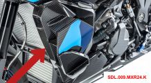  BMW S 1000 XR (2020- ) Carbon Seitendeckel an der Kühlerverkleidung mit Wingletaufnahme
