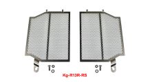  BMW R1300R Kühlergitter