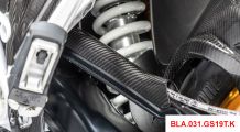  BMW R 1250 R Carbon Bremsleitungsabdeckung