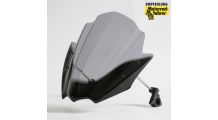  BMW F800R Windschild Racing-Screen