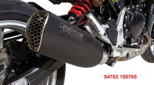  BMW F900R Remus NXT Schalldämpfer