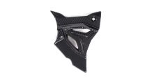  BMW S1000RR (2019- ) Carbon Ritzelabdeckung