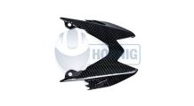  BMW S1000RR (2009-2018) Carbon Rücklichtverkleidung