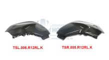  BMW R 1200 R, LC (2015-2018) Carbon Tankseitenteil