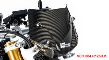  BMW R 1250 R Carbon Windschild