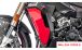 BMW S 1000 XR (2020- ) Carbon Kühlerverkleidung (komplett)