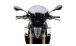 BMW F800R Racingscheibe