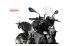 BMW F900R Tourenscheibe