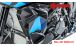 BMW S 1000 XR (2020- ) Carbon Kühlerverkleidung