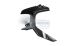 BMW R 1200 GS LC (2013-2018) & R 1200 GS Adventure LC (2014-2018) Carbon Luftauslass links Adventure