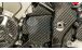 BMW S 1000 XR (2015-2019) Carbon Ritzelabdeckung