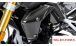 BMW R 1250 R Carbon Kühlerverkleidung