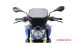 BMW G 310 R Racingscheibe