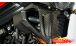 BMW F800R Carbon Kühlerverkleidung