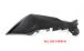 BMW S 1000 XR (2020- ) Carbon Verkleidungsseitenteile