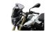 BMW F800R Racingscheibe