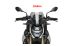 BMW S1000R (2021- ) Sportscheibe