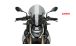BMW S1000R (2021- ) Tourenscheibe für Originalhalterung