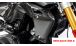 BMW R 1250 R Carbon Kühlerverkleidung