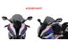 BMW S1000RR (2019- ) Racingscheibe