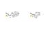 BMW R850GS, R1100GS, R1150GS & Adventure 2x Schrauben M10x25