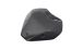 BMW S1000R (2021- ) Carbon Windschild