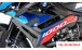 BMW S1000R (2021- ) Carbon Verkleidungsseitenteile