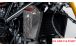 BMW R12nineT, R12, R12S & R12G/S Carbon Ölkühler-Abdeckung