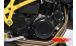 BMW F650GS (08-12), F700GS & F800GS (08-18) Carbonprotektor Lichtmaschinendeckel groß