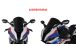BMW S1000RR (2019- ) Racingscheibe