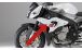 BMW S1000R (2014-2020) Carbon Verkleidungsseitenteile