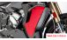 BMW S 1000 XR (2020- ) Carbon Kühlerverkleidung (komplett)