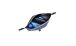 BMW R 18 Wasserdichter Packsack
