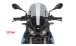 BMW S1000R (2021- ) Tourenscheibe