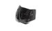 BMW R 1250 R Carbon Windschild