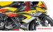 BMW S1000RR (2019- ) Verkleidungsseitenteile