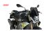 BMW S1000R (2021- ) Sportscheibe