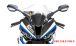BMW S1000RR (2019- ) Front Verkleidung