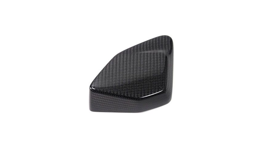 BMW R 1250 GS & R 1250 GS Adventure Carbon Abdeckung ESA Box