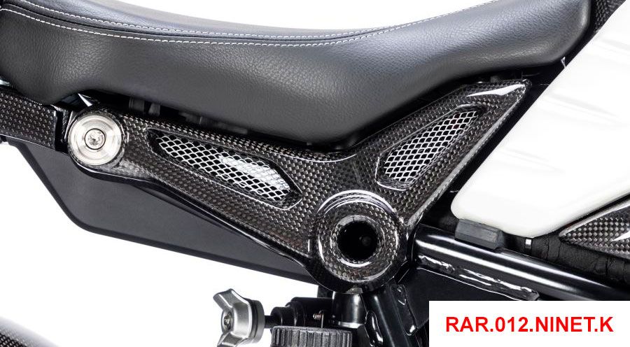 BMW R nine T Carbon Abdeckung am Rahmenheck