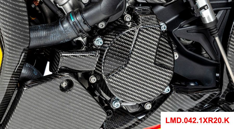 BMW S 1000 XR (2020- ) Lichtmaschinendeckel-Abdeckung