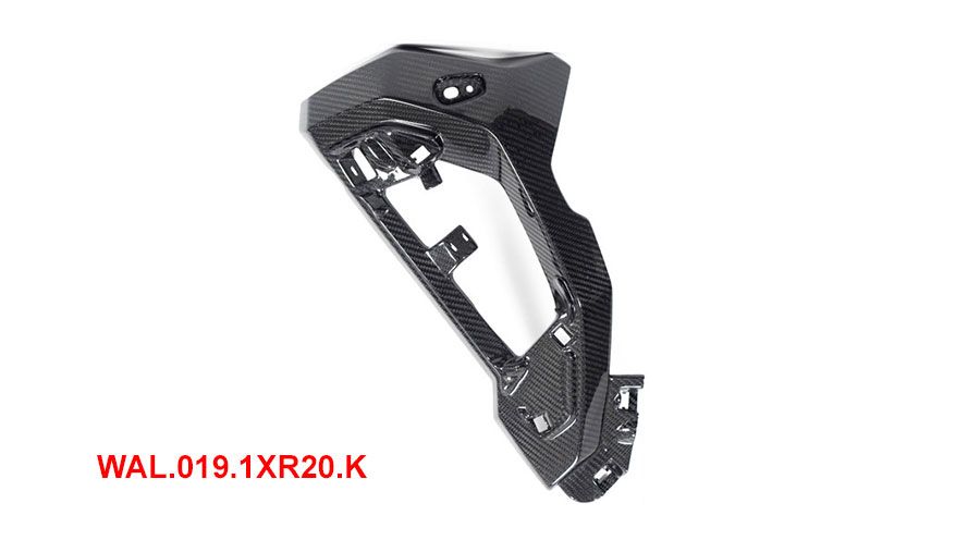BMW S 1000 XR (2020- ) Carbon Kühlerverkleidung (für originales farbiges Seitenpanel)