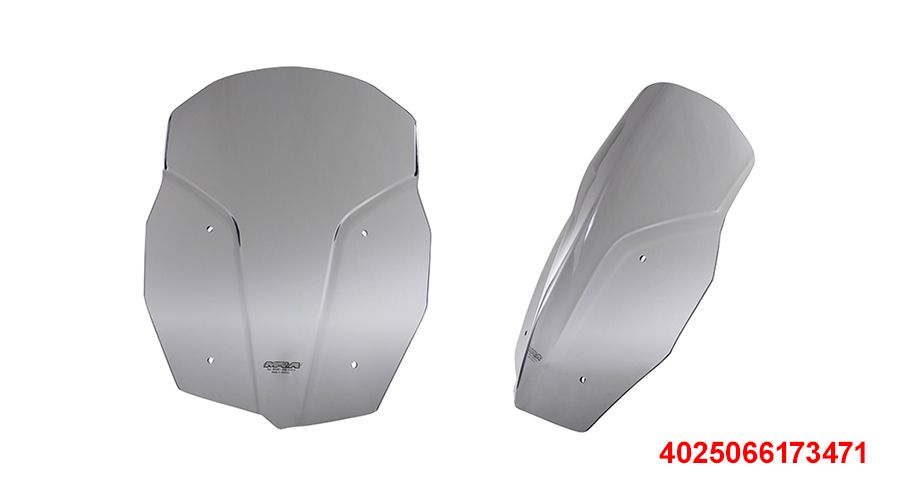 BMW F800GS (2024- ), F900GS & F900GS Adv Touringscreen für verstellbaren Halter
